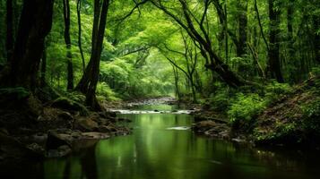 pacífico bosque oasis con claro corriente rodeado por lozano verdor fondo de pantalla antecedentes paisaje. ai generativo foto