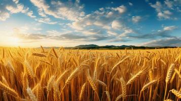 Wheat field ears golden wheat against a blue sky. wallpaper. AI generative photo