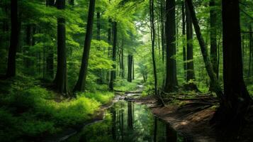 Peaceful forest oasis with clear stream surrounded by lush greenery wallpaper background landscape. AI generative photo