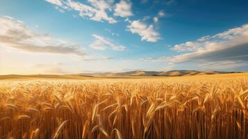 Wheat field ears golden wheat against a blue sky. Wallpaper. AI generative photo