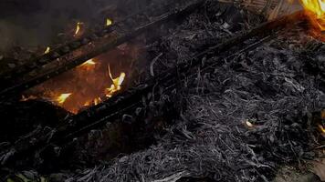 dichtbij omhoog van een brandend hout en bladeren in de verbrandingsoven met donker achtergrond video