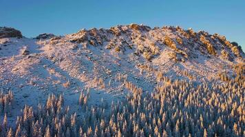 otkliknoy montanha cume e conífero floresta às pôr do sol dentro inverno. aéreo visualizar. taganay nacional parque, sulista Urais, Rússia. zangão moscas para trás video