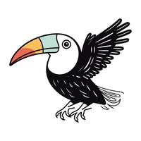 Toucan bird. Vector illustration of a toucan bird.