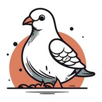 Pigeon vector illustration. Hand drawn doodle bird.