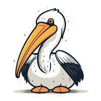 Pelican vector illustration. Isolated on a white background.