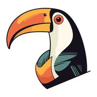 Toucan icon. Cartoon illustration of toucan vector icon for web