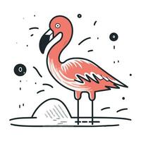 Flamingo. Hand drawn vector illustration in doodle style.