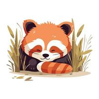 Cute red panda vector illustration. Cute cartoon animal character.