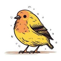 Cute little yellow bird on white background. Vector illustration for your design