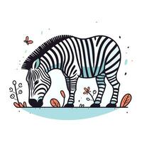 Zebra. Hand drawn vector illustration in doodle style.