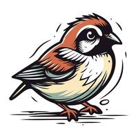 Sparrow vector illustration. Isolated on a white background.