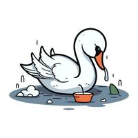 Swan drinking water from a bowl. Hand drawn vector illustration.