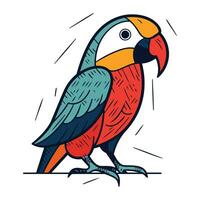 Colorful parrot isolated on white background. Hand drawn vector illustration.
