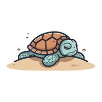 linda dibujos animados tortuga. vector ilustración aislado en un blanco antecedentes.