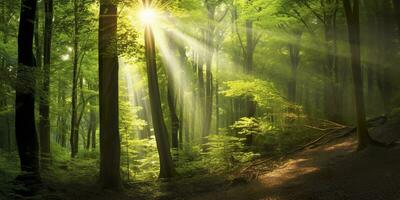 Beautiful rays of sunlight in a green forest. Generative AI photo