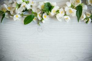 Wooden background with blooming white jasmine and empty space photo