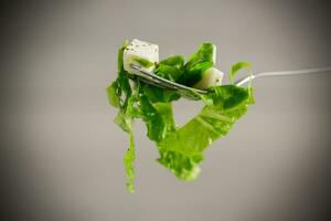 fresh green lettuce salad with mozzarella and herbs on a fork photo