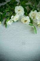 background of many white roses on a light wooden photo