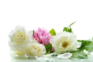 bouquet of summer white roses and peonies photo