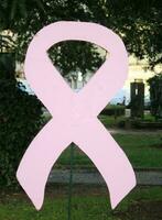 pink breast cancer ribbon photo