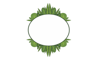 Flora Ornament Rand mit Design mit transparent Hintergrund png