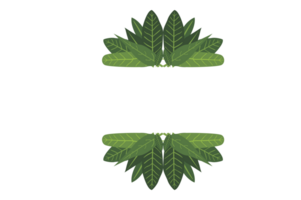 flore ornement frontière avec conception avec transparent Contexte png