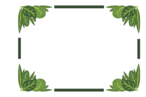 Flora Ornament Border With Design With Transparent Background png