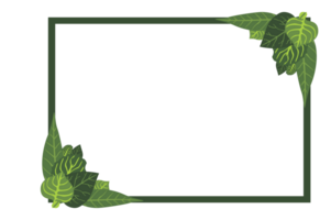 Flora Ornament Border With Design With Transparent Background png