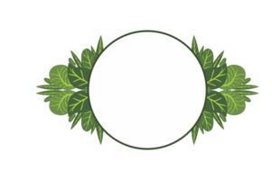 Flora Ornament Rand mit Design mit transparent Hintergrund png