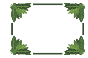 Flora Ornament Border With Design With Transparent Background png