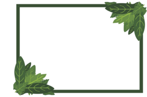 Flora Ornament Rand mit Design mit transparent Hintergrund png