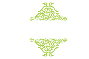 flora ornamento frontera con diseño con transparente antecedentes png