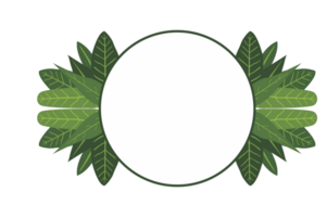 Flora Ornament Rand mit Design mit transparent Hintergrund png