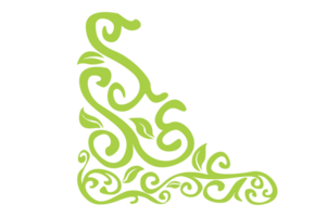 Flora Ornament Border With Design With Transparent Background png