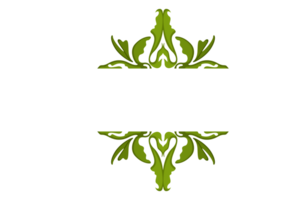 Flora Ornament Border With Design With Transparent Background png