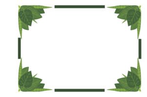 Flora Ornament Rand mit Design mit transparent Hintergrund png