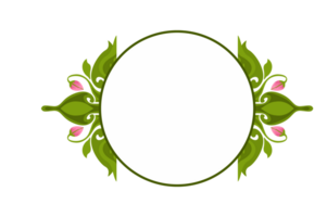 Flower Ornament Border with a design and a transparent background png