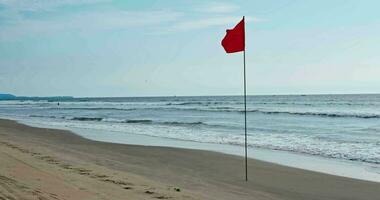 rojo bandera en playa en mar o Oceano como un símbolo de peligro. el mar estado es considerado peligroso y nadando es prohibido. video