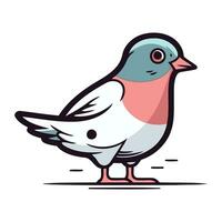 Pigeon vector illustration. Cute cartoon bird isolated on white background.