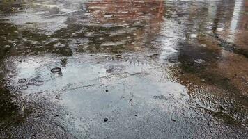 pozzanghere di acqua quando esso piove. acqua piovana pozzanghere nel il villaggio. video