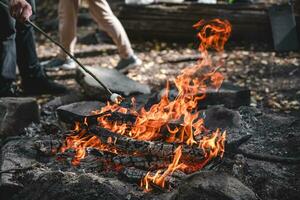 Marshmallows on a stick are held over a fire photo
