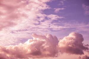 Beautiful fabulous pink cumulus clouds in the blue sky at sunset. natural background photo