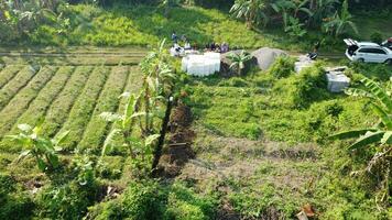 large fields for gardening photo