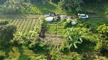 large fields for gardening photo