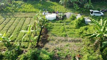 large fields for gardening photo
