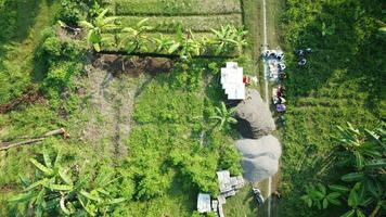 large fields for gardening photo