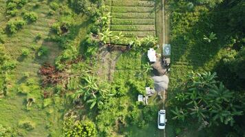 large fields for gardening photo