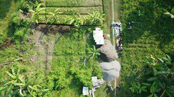large fields for gardening photo