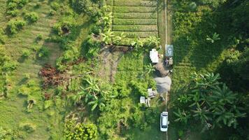 large fields for gardening photo