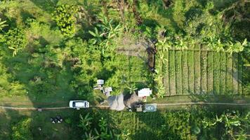 large fields for gardening photo